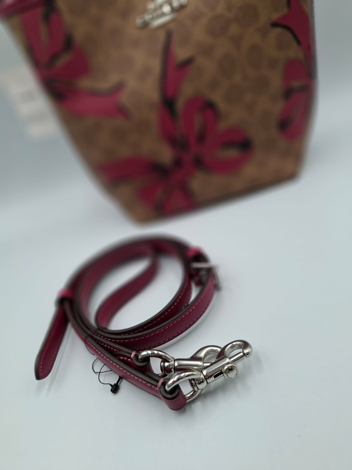 Coach Mollie Bucket Bag 22 (Bow Print)