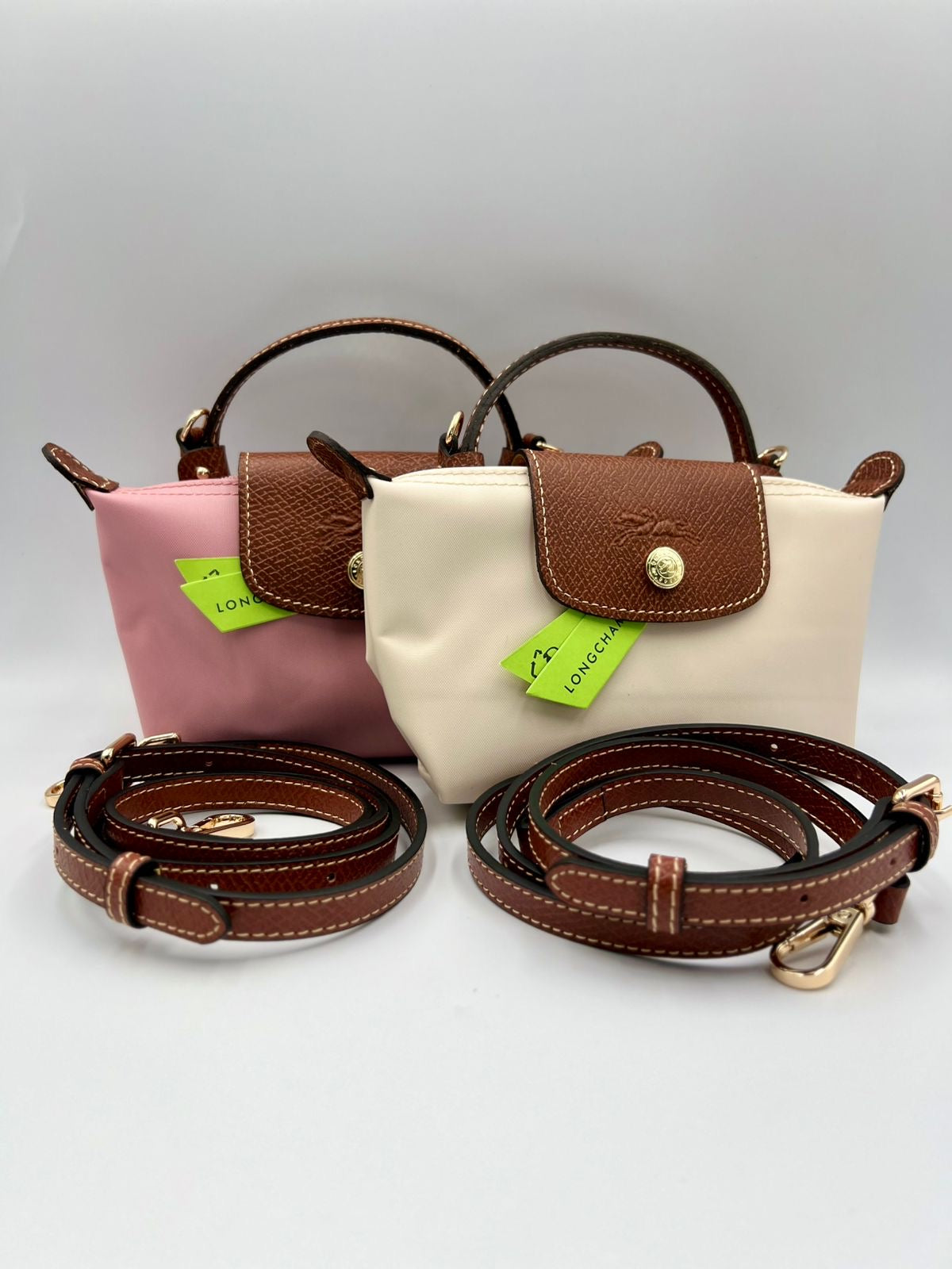Mini Longchamp