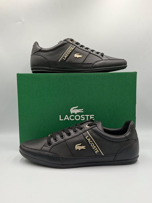 Lacoste Chaymon